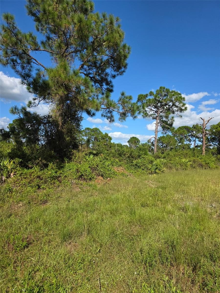 Land at 1115 JAGUAR BLVD, LEHIGH ACRES, photo 2 of 2