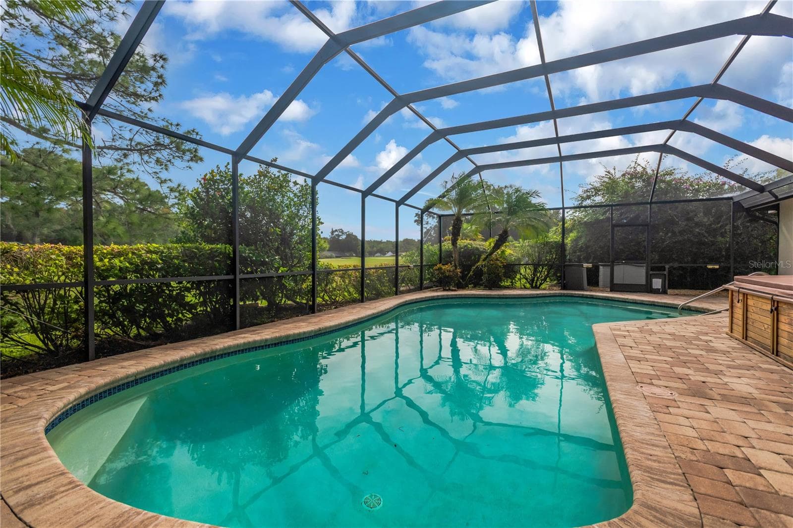 Pool - 16407 W COURSE DR, TAMPA
