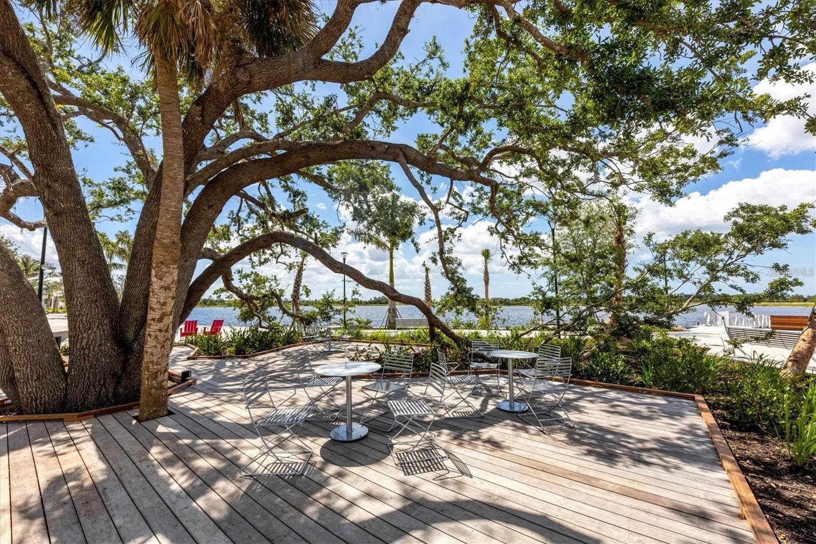 Wellen park Oak Tree...Concerts and live Music during the week under this tree! - 18035 HOME RUN DR, VENICE