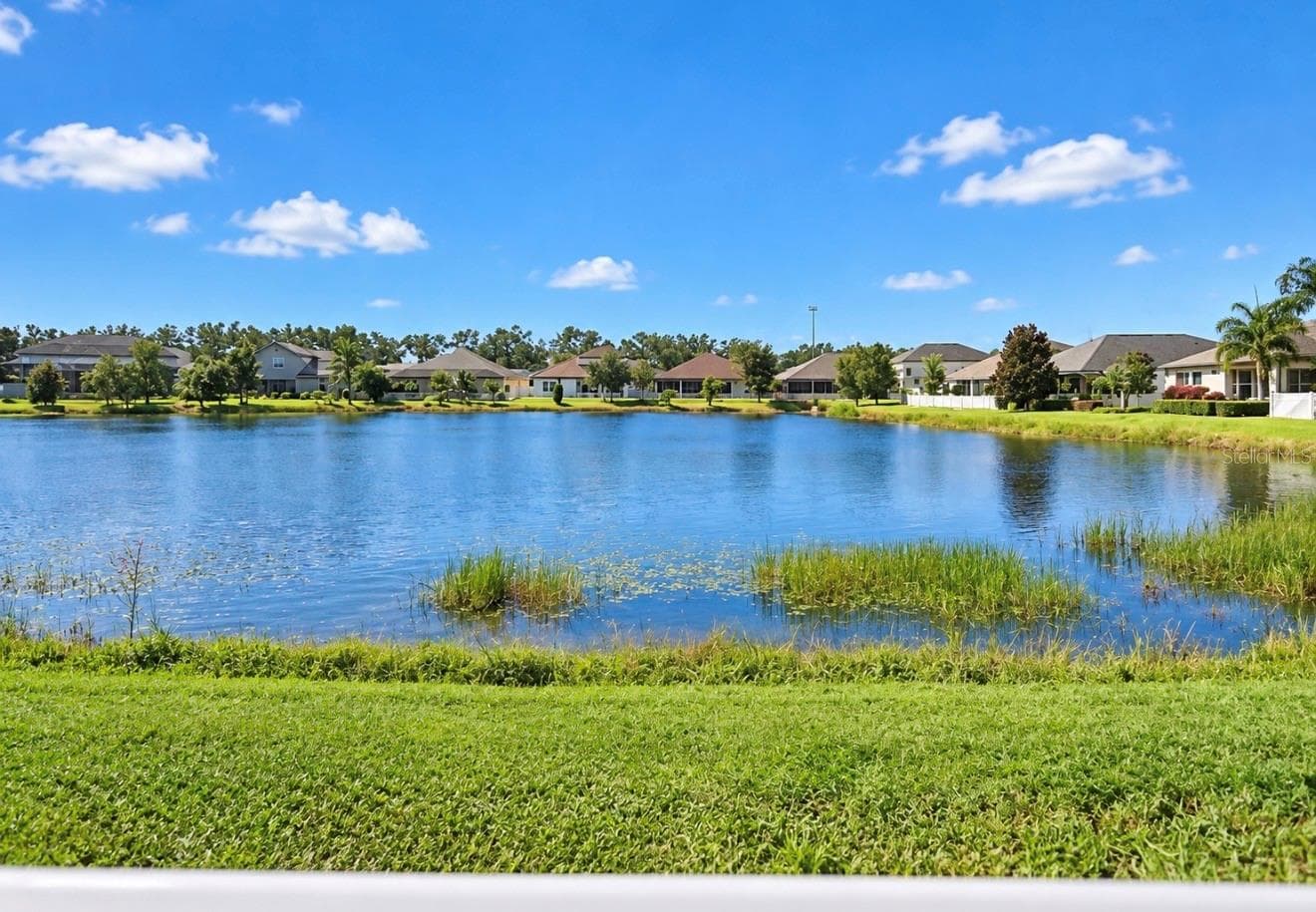 WATER VIEWS - 10411 CARDERA DR, RIVERVIEW