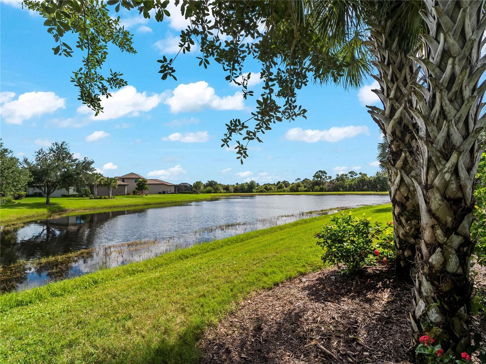 Single Family Residence at 19864 PETRINO ST, VENICE, photo 68 of 78