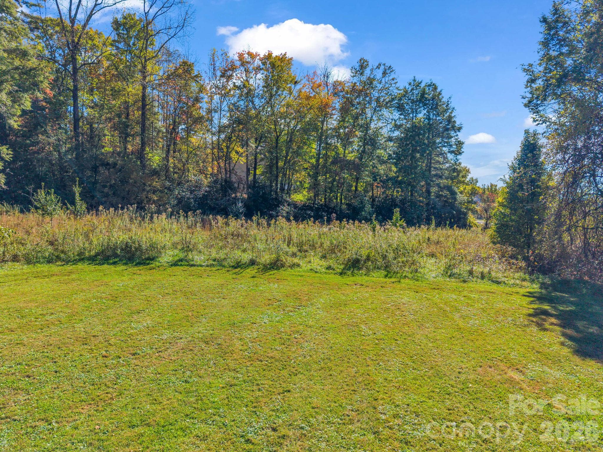Acreage at TBD Wilson Road, Brevard, photo 4 of 15