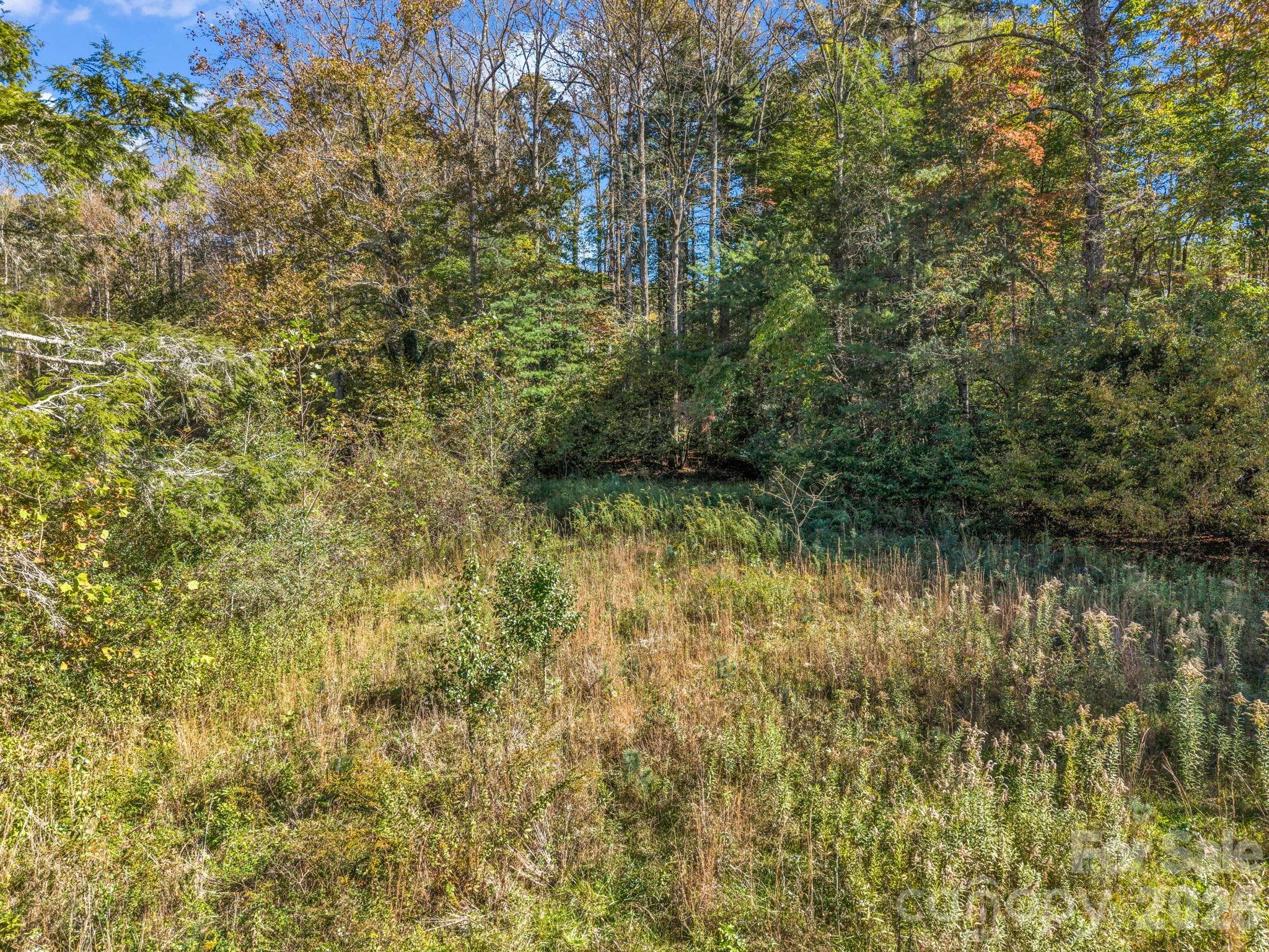 Acreage at TBD Wilson Road, Brevard, photo 7 of 15