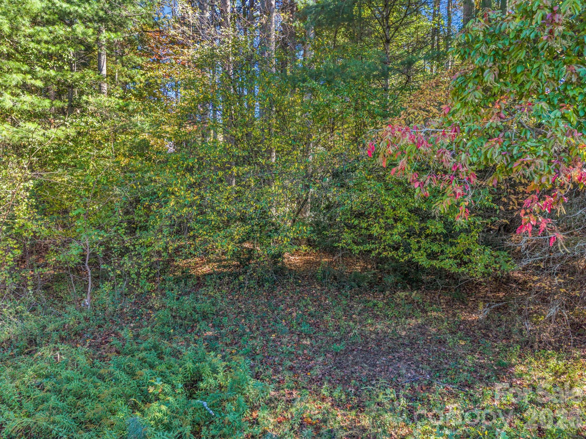 Acreage at TBD Wilson Road, Brevard, photo 9 of 15