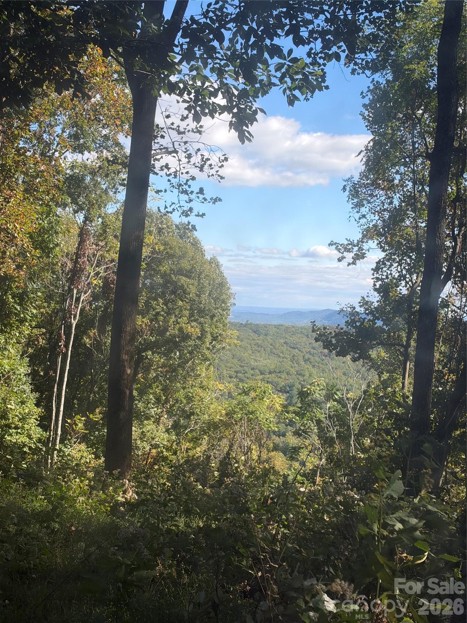 Acreage at TBD Vannoy Ridge Road, Moravian Falls, photo 5 of 42