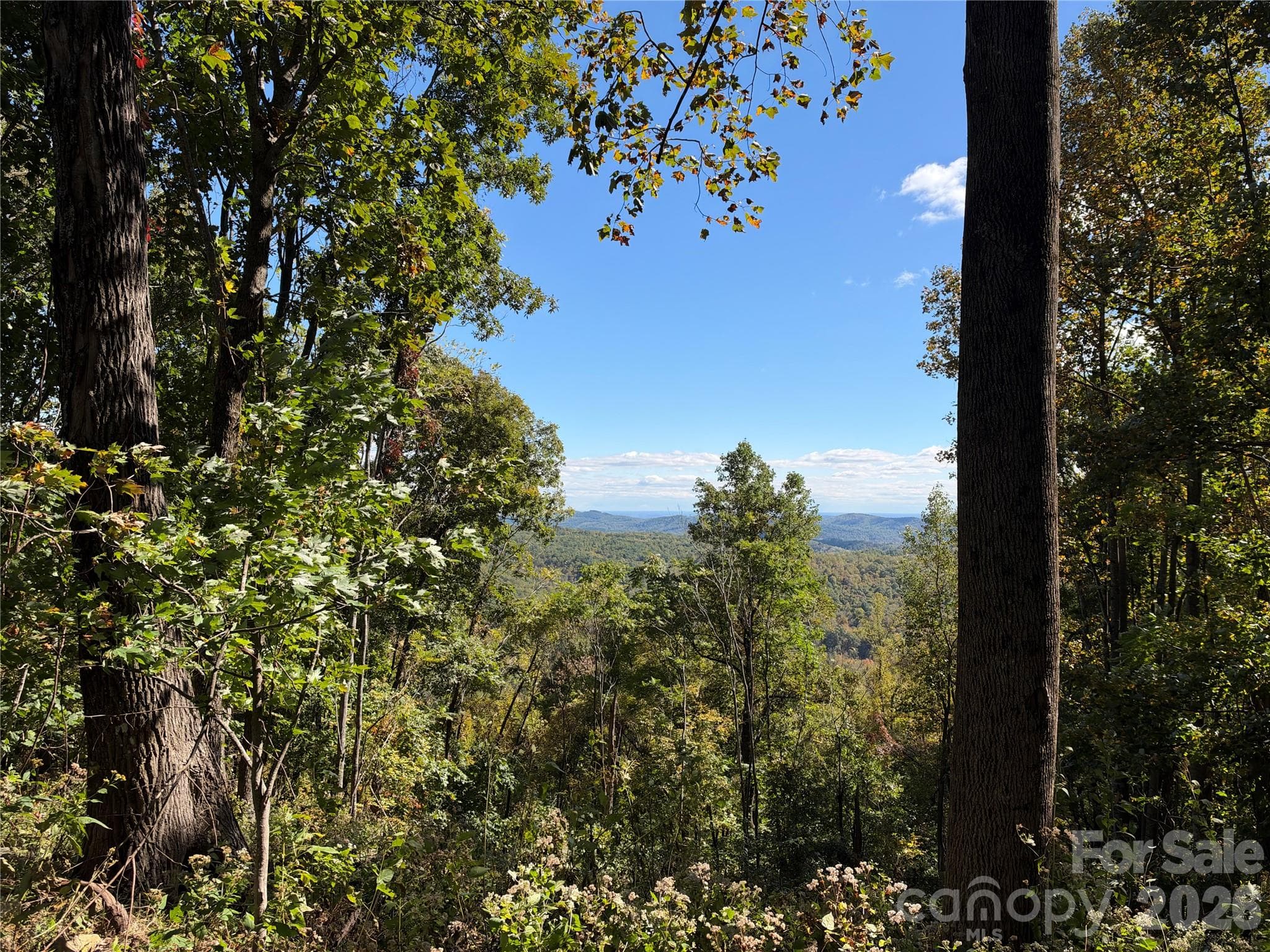 Acreage at TBD Vannoy Ridge Road, Moravian Falls, photo 7 of 42