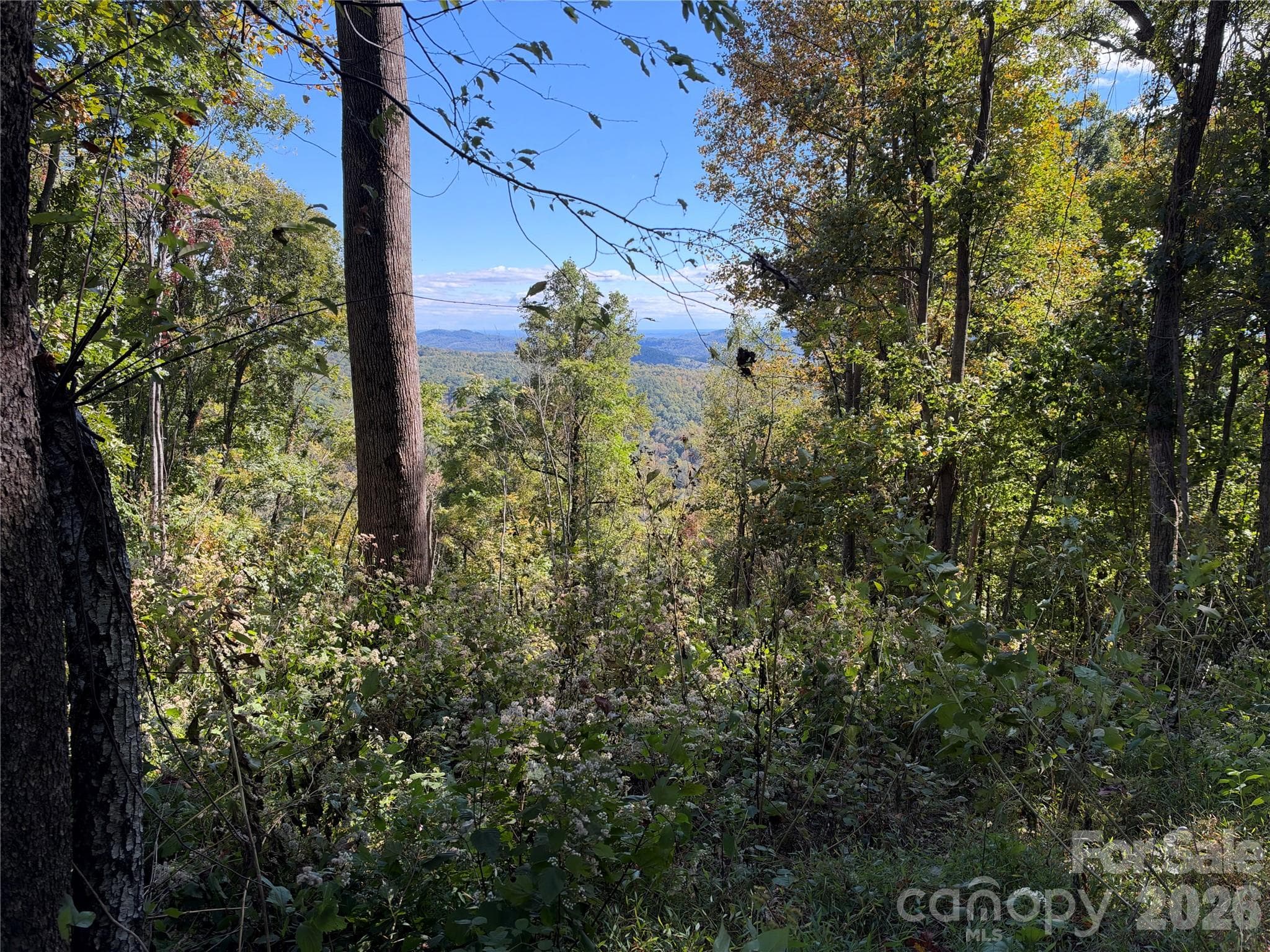 Acreage at TBD Vannoy Ridge Road, Moravian Falls, photo 9 of 42