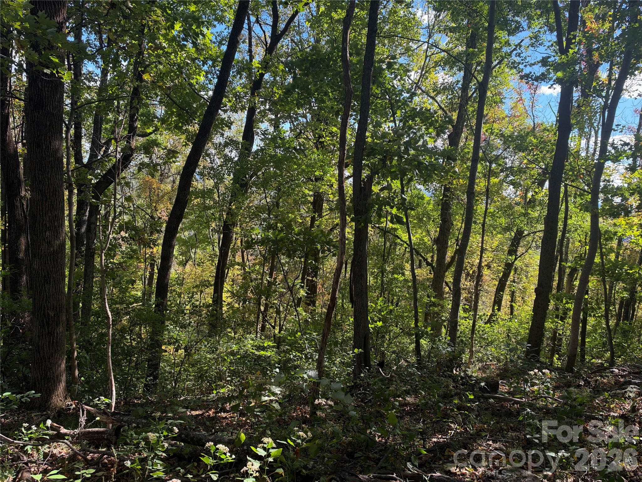 Acreage at TBD Vannoy Ridge Road, Moravian Falls, photo 10 of 42