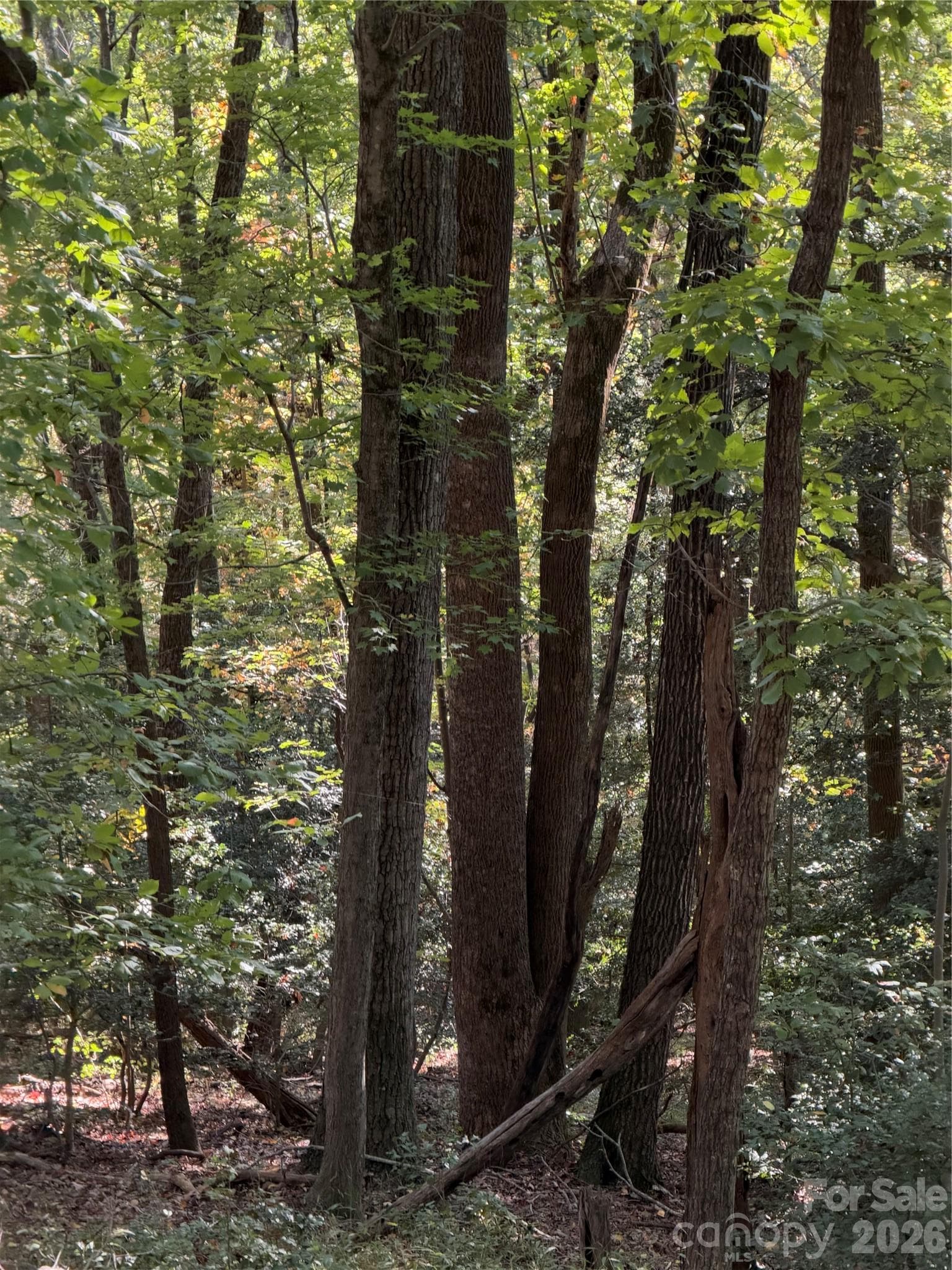 Acreage at TBD Vannoy Ridge Road, Moravian Falls, photo 11 of 42