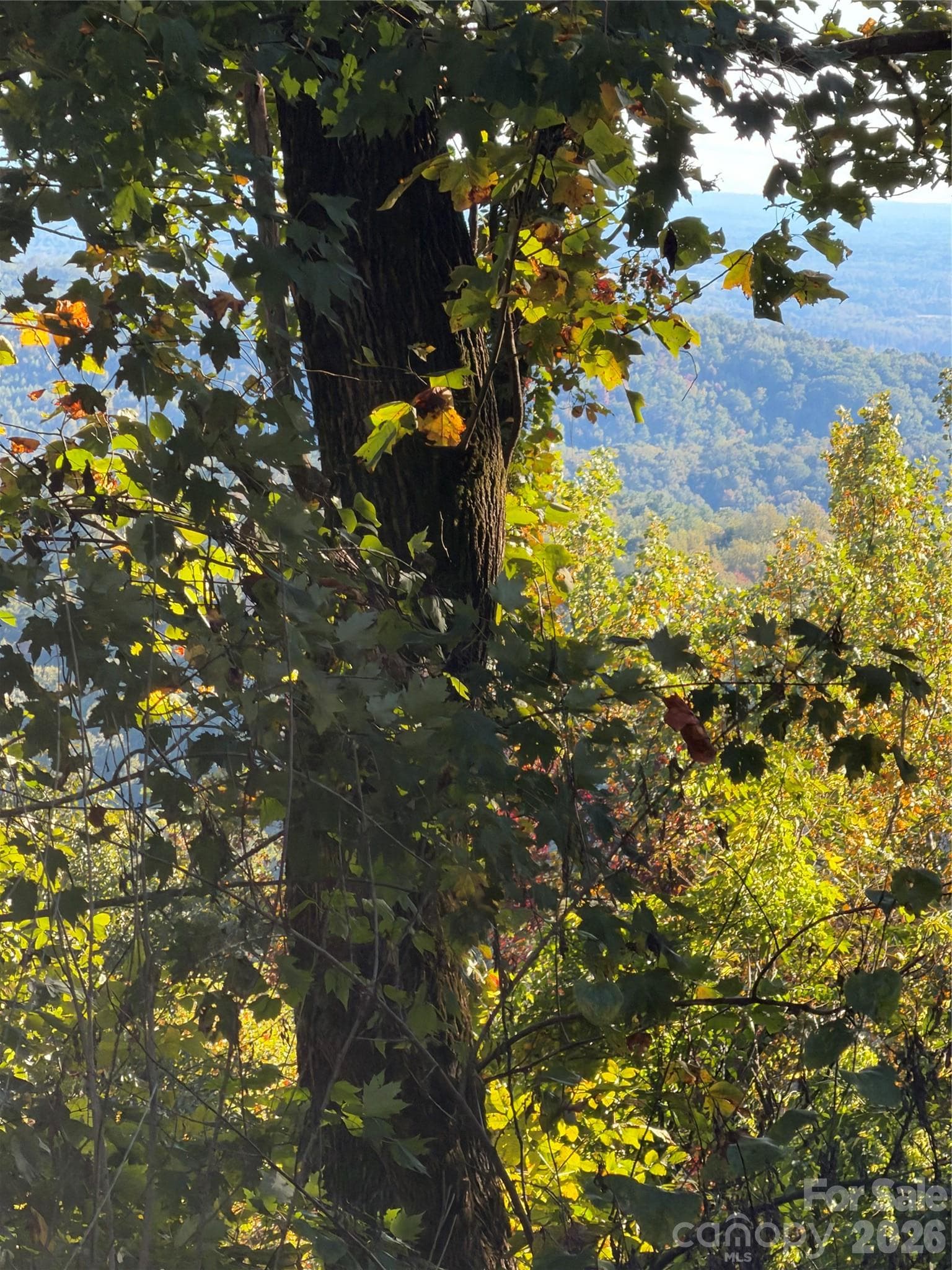 Acreage at TBD Vannoy Ridge Road, Moravian Falls, photo 13 of 42