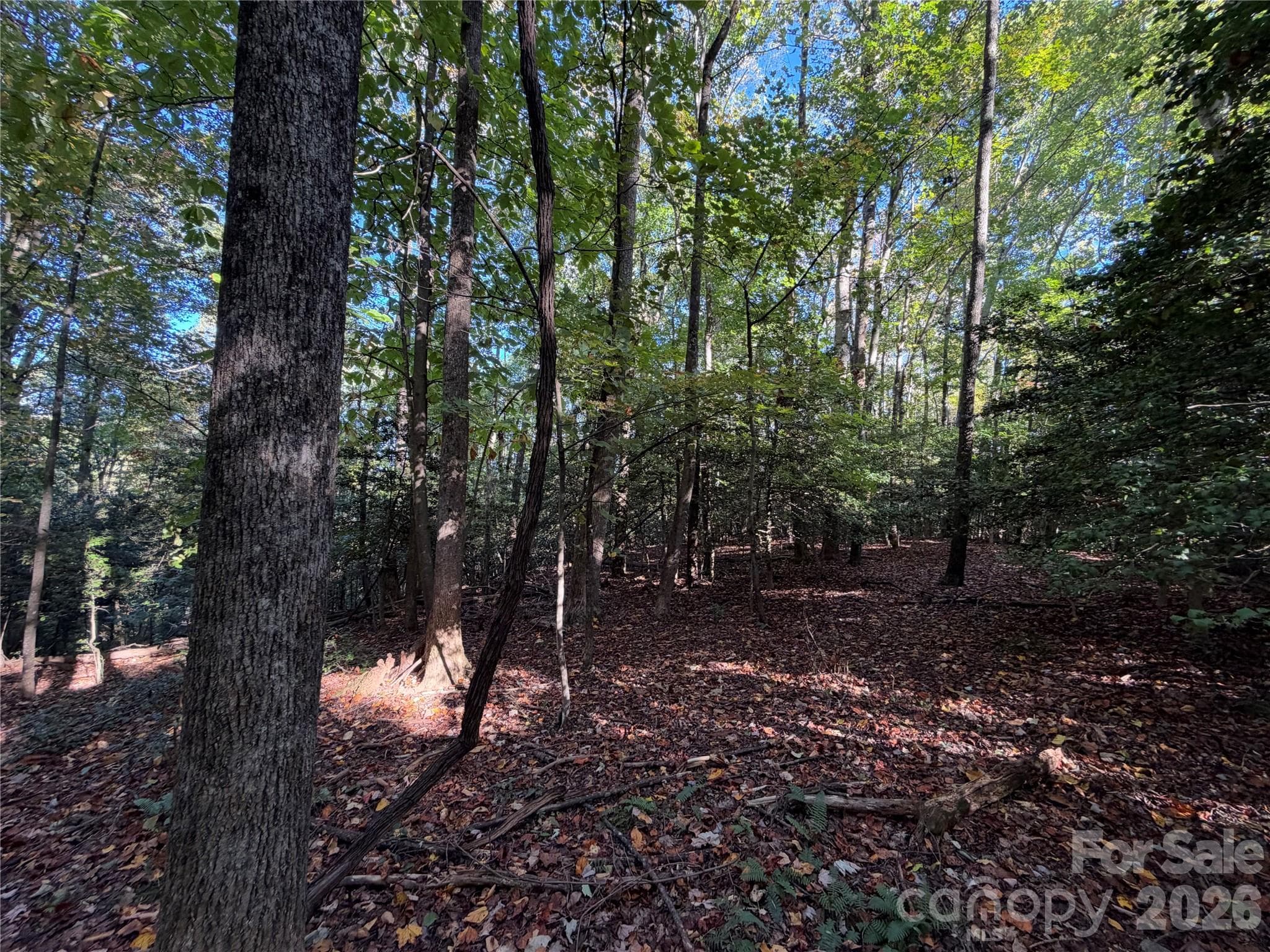 Acreage at TBD Vannoy Ridge Road, Moravian Falls, photo 17 of 42