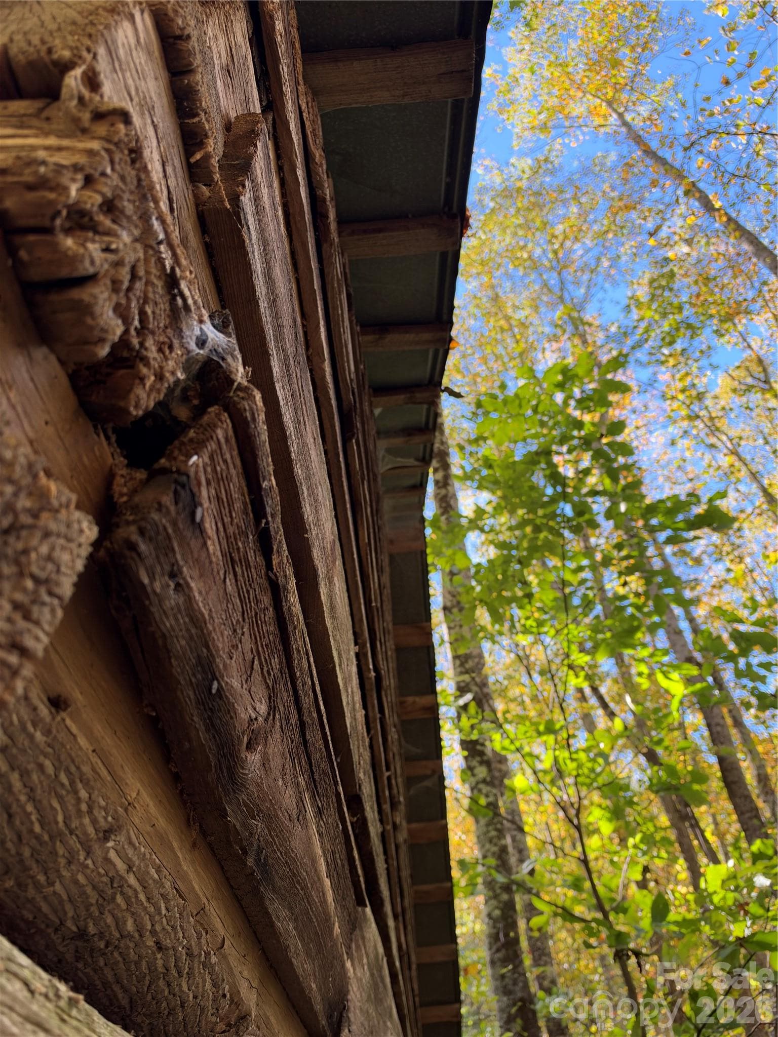 Acreage at TBD Vannoy Ridge Road, Moravian Falls, photo 23 of 42