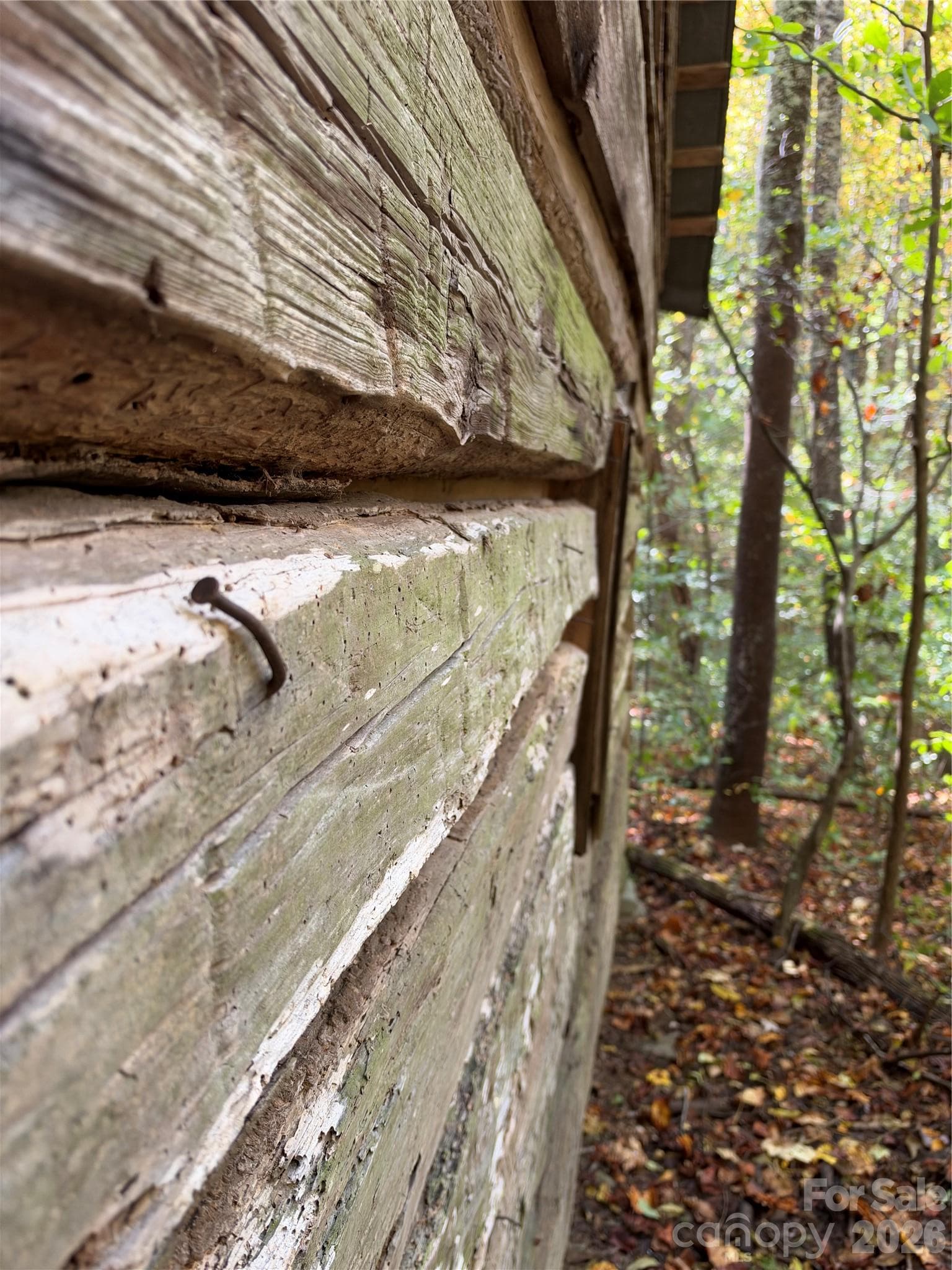 Acreage at TBD Vannoy Ridge Road, Moravian Falls, photo 25 of 42