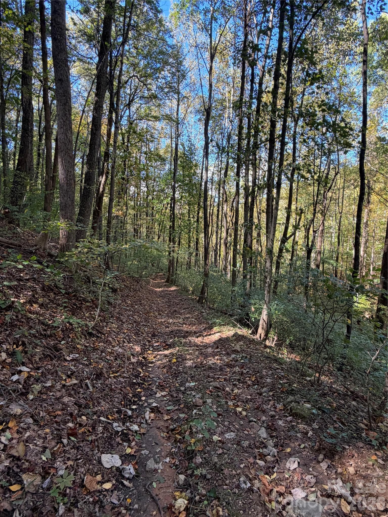 Acreage at TBD Vannoy Ridge Road, Moravian Falls, photo 31 of 42