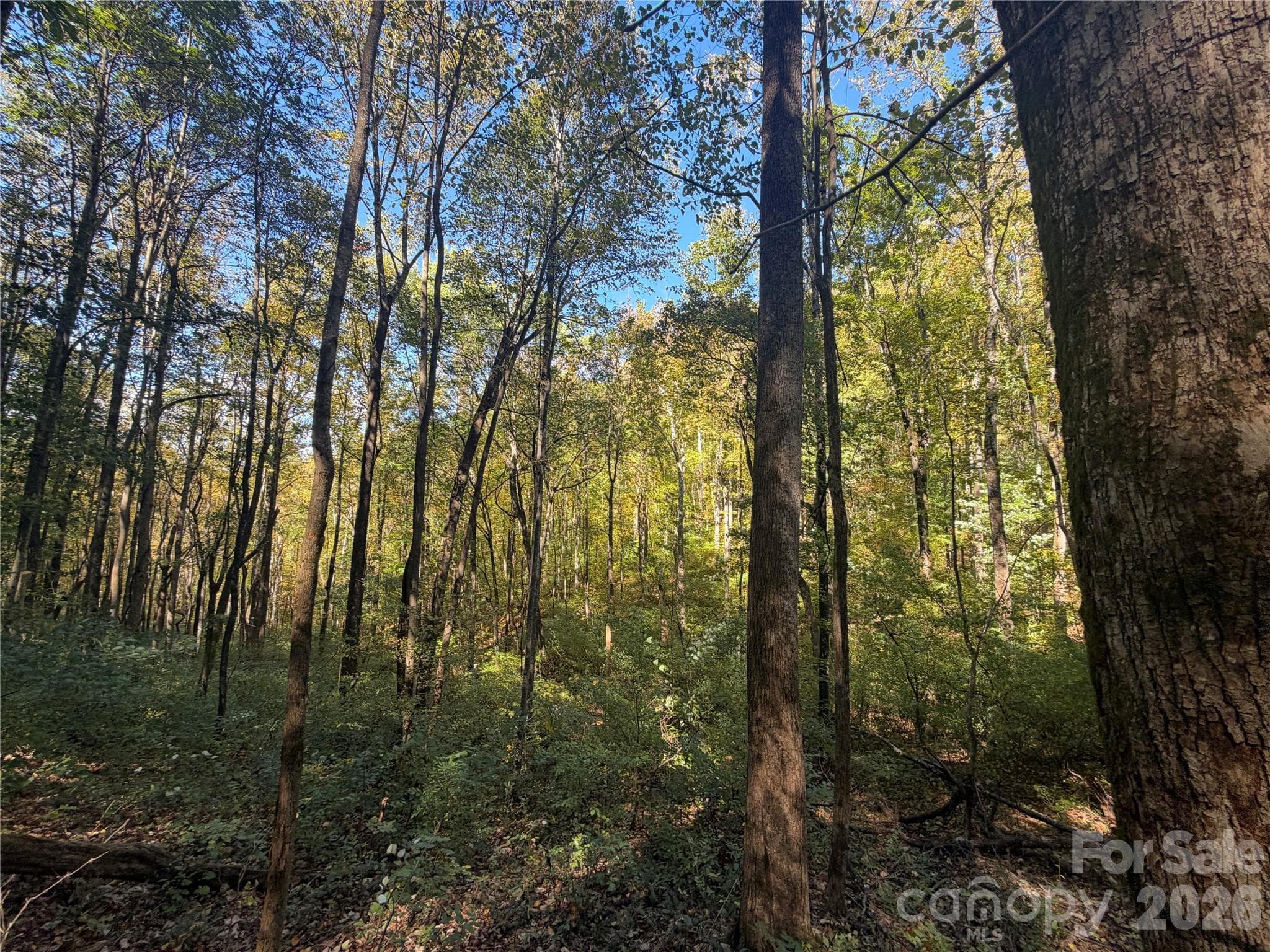 Acreage at TBD Vannoy Ridge Road, Moravian Falls, photo 33 of 42