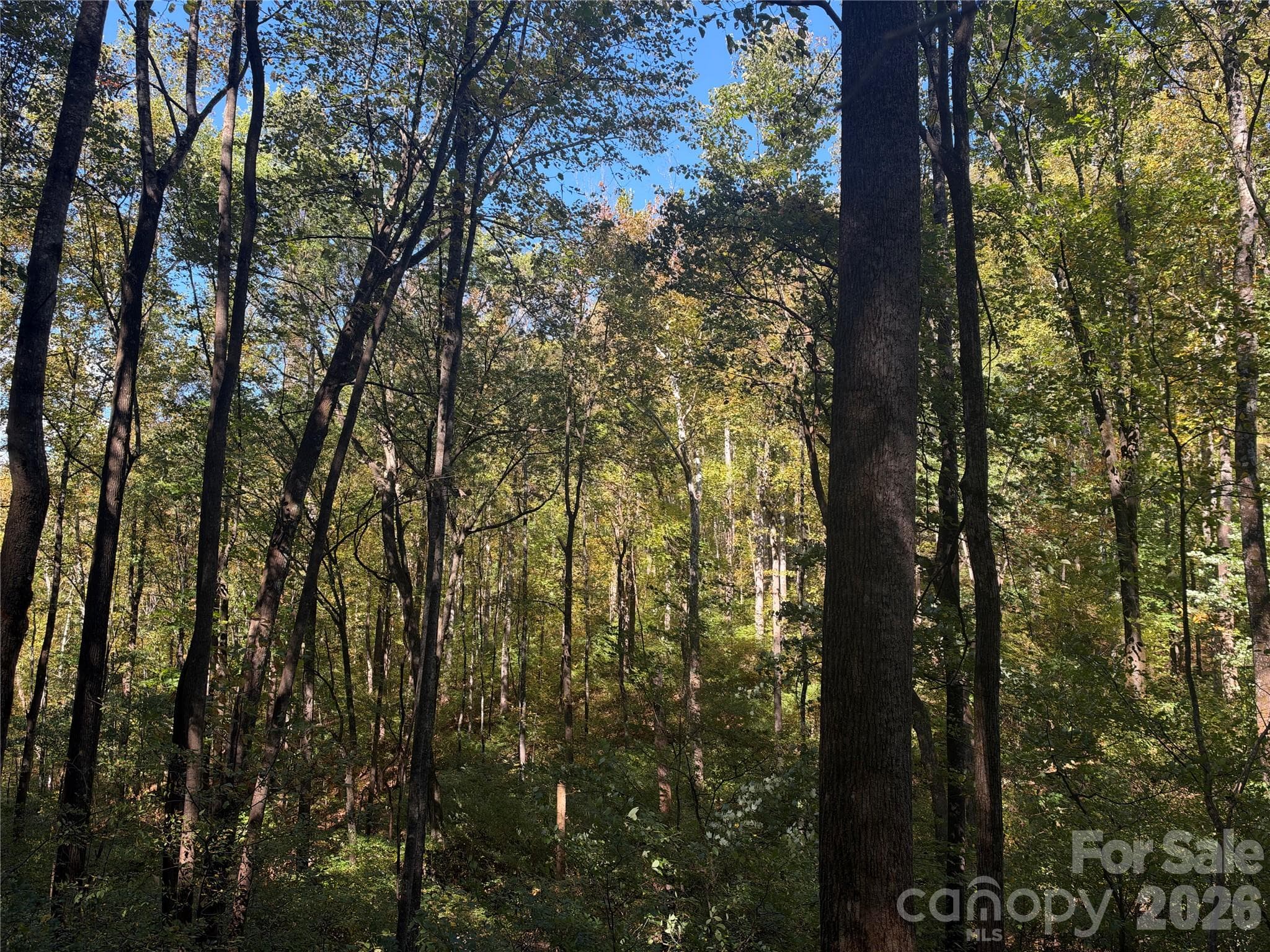 Acreage at TBD Vannoy Ridge Road, Moravian Falls, photo 34 of 42