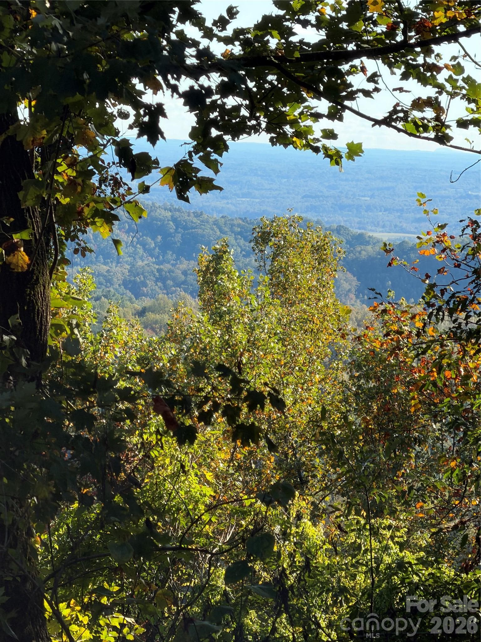 Acreage at TBD Vannoy Ridge Road, Moravian Falls, photo 36 of 42