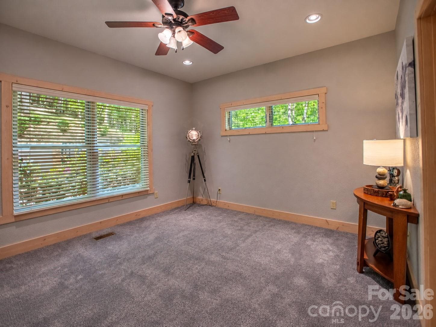 Guest en suite bedroom - 350 Celo Cove Drive, Burnsville