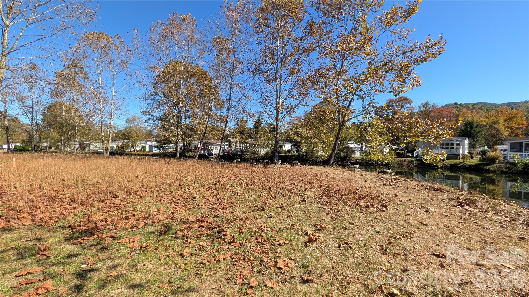 Lot at 00 Bruces Way, Waynesville, photo 5 of 6