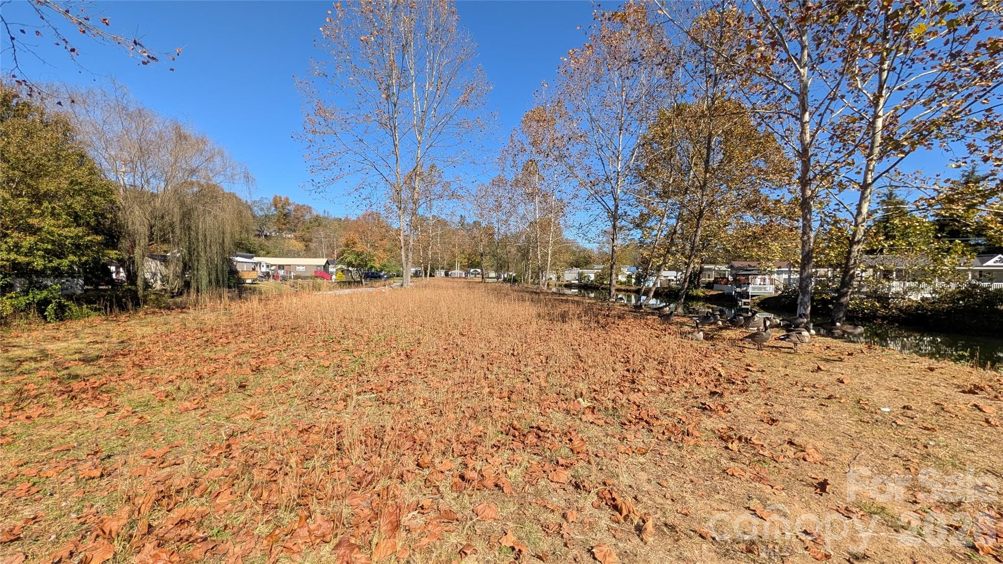 Lot at 00 Bruces Way, Waynesville, photo 6 of 6