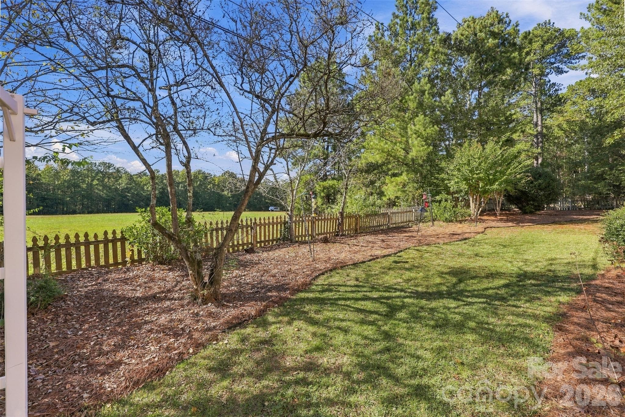 SIDE YARD - 1220 Williams Road, Fort Mill