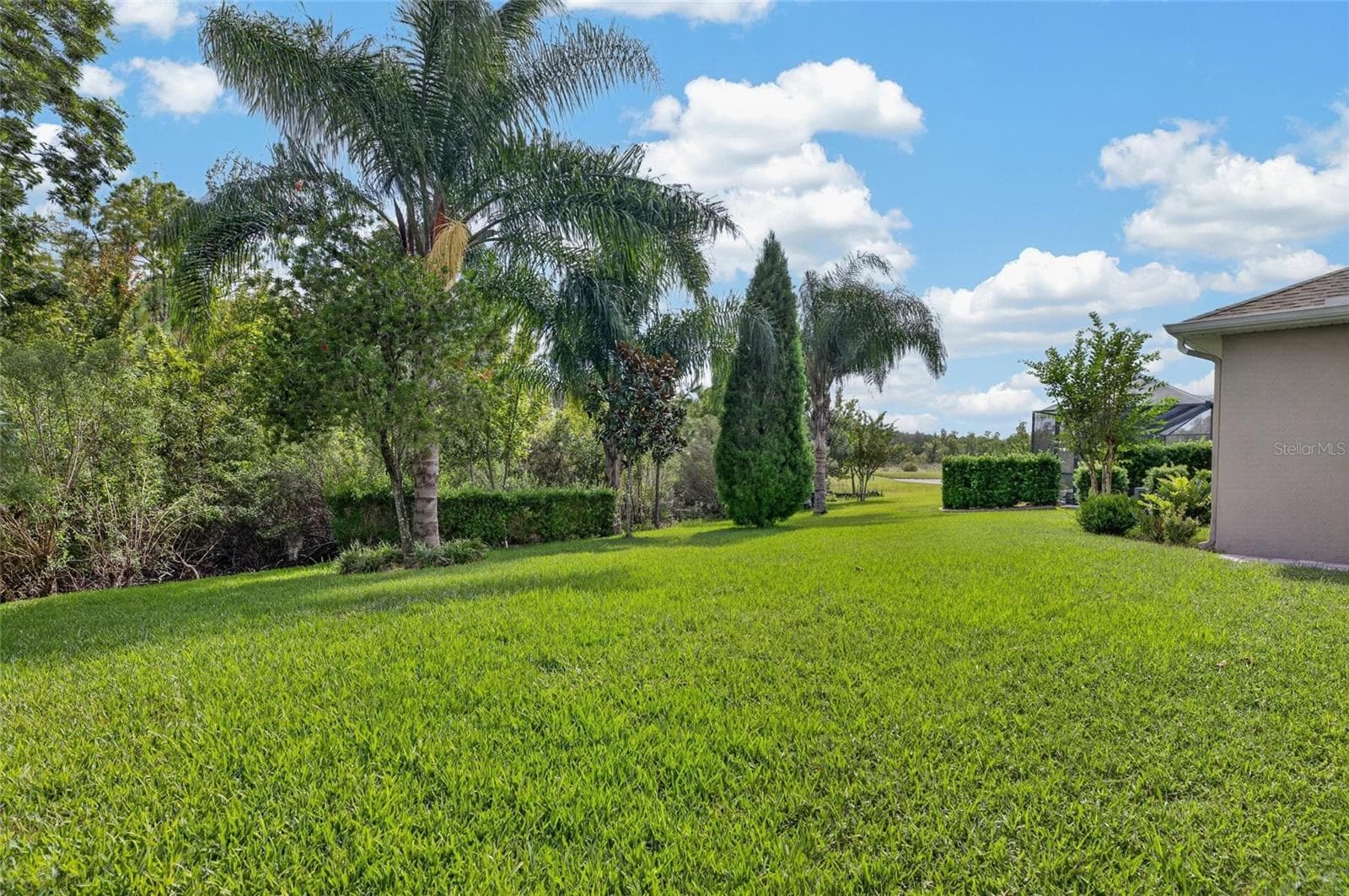 Single Family Residence at 16726 COURTYARD LOOP, LAND O LAKES, photo 93 of 97