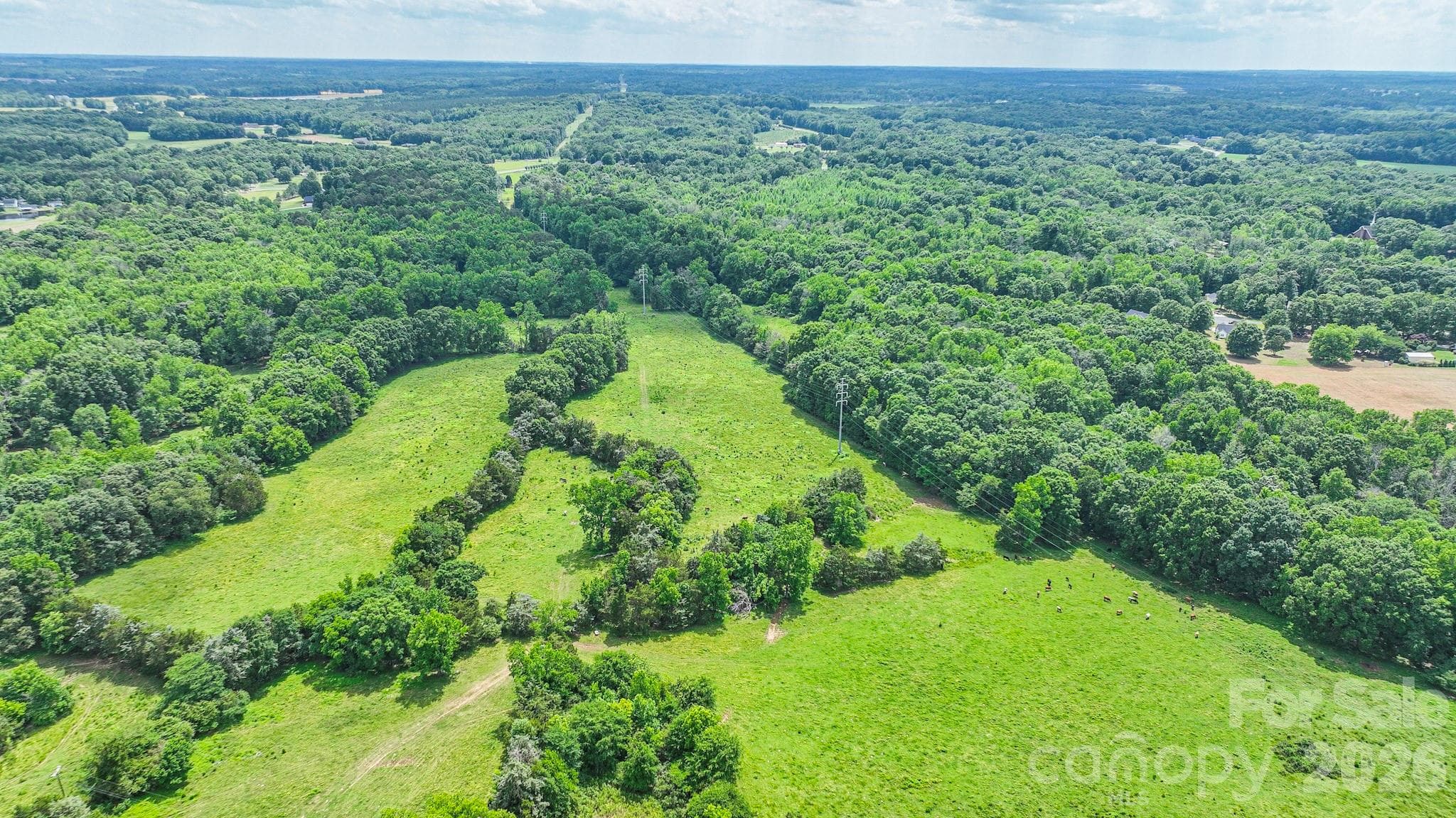 Acreage at 0 Avery Parker Road, Monroe, photo 6 of 16