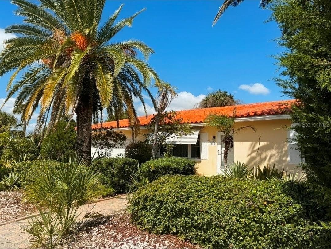 Beautiful tropical plants - 8175 GULF BLVD, ST PETE BEACH