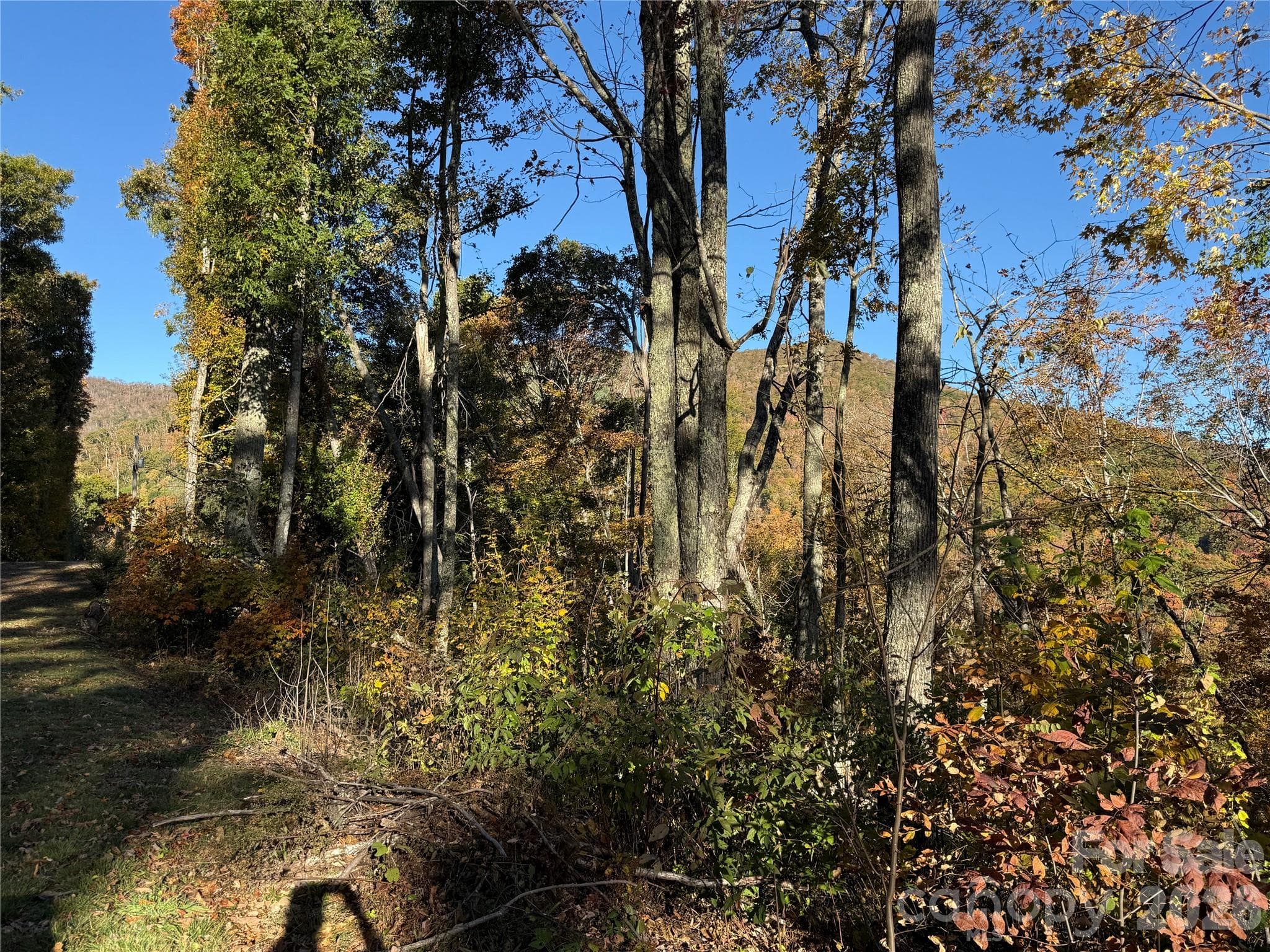 view - Lot 6 RidgeRunner Road S, Burnsville