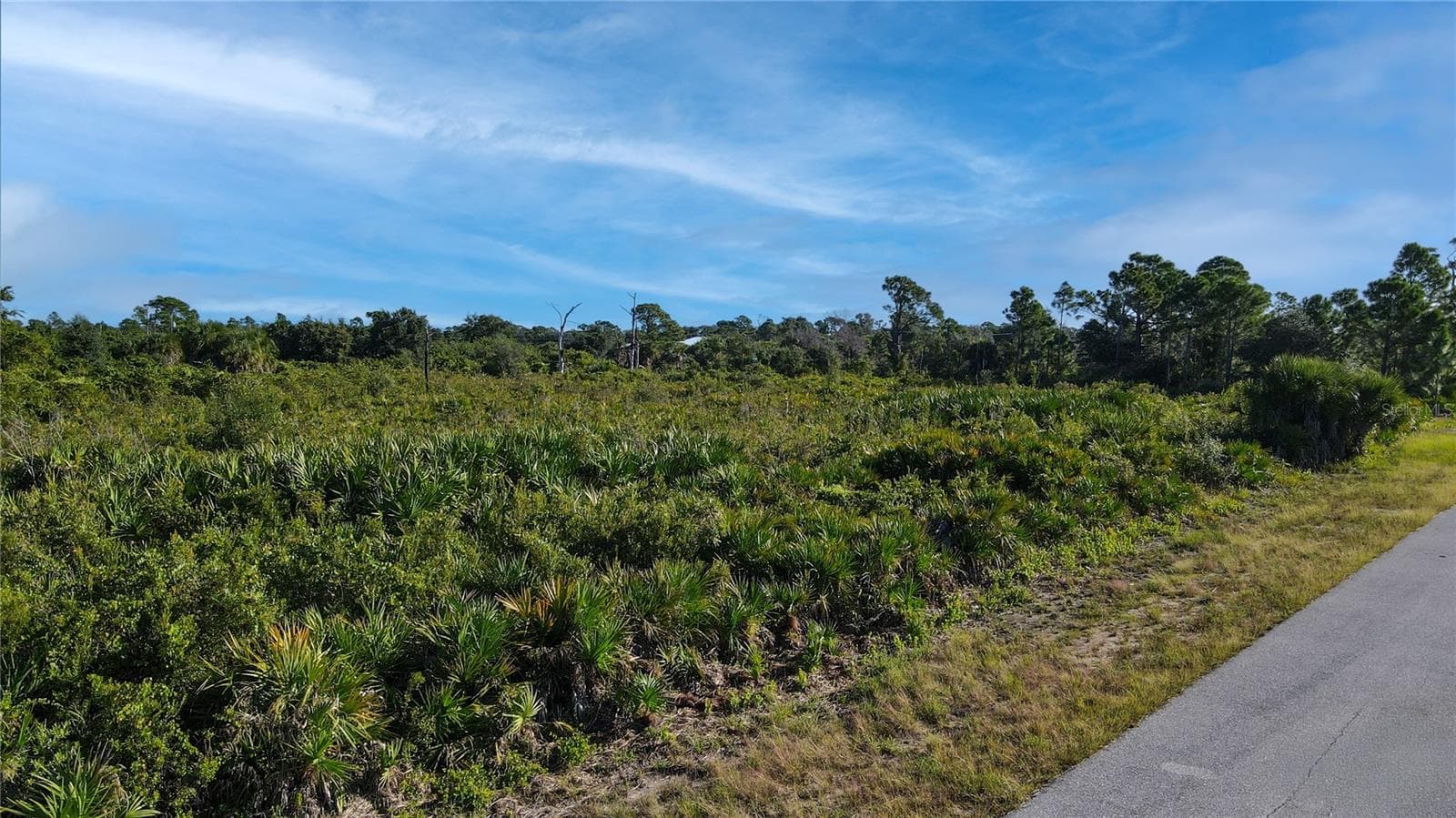 Land at 12092 GRADY AVE, PORT CHARLOTTE, photo 5 of 8