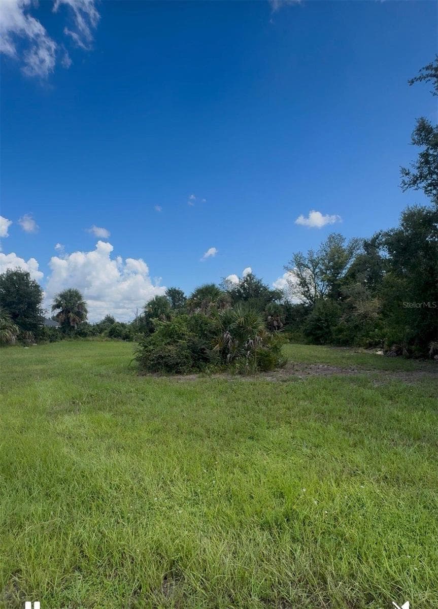 Land at 138 WHITE PINE DR #N/A, ROTONDA WEST, photo 2 of 4