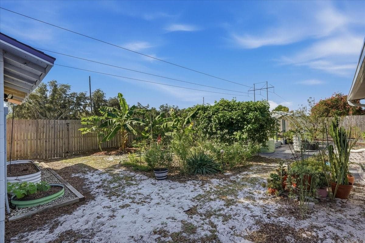 Backyard - 4801 WESTON RD, BARTOW