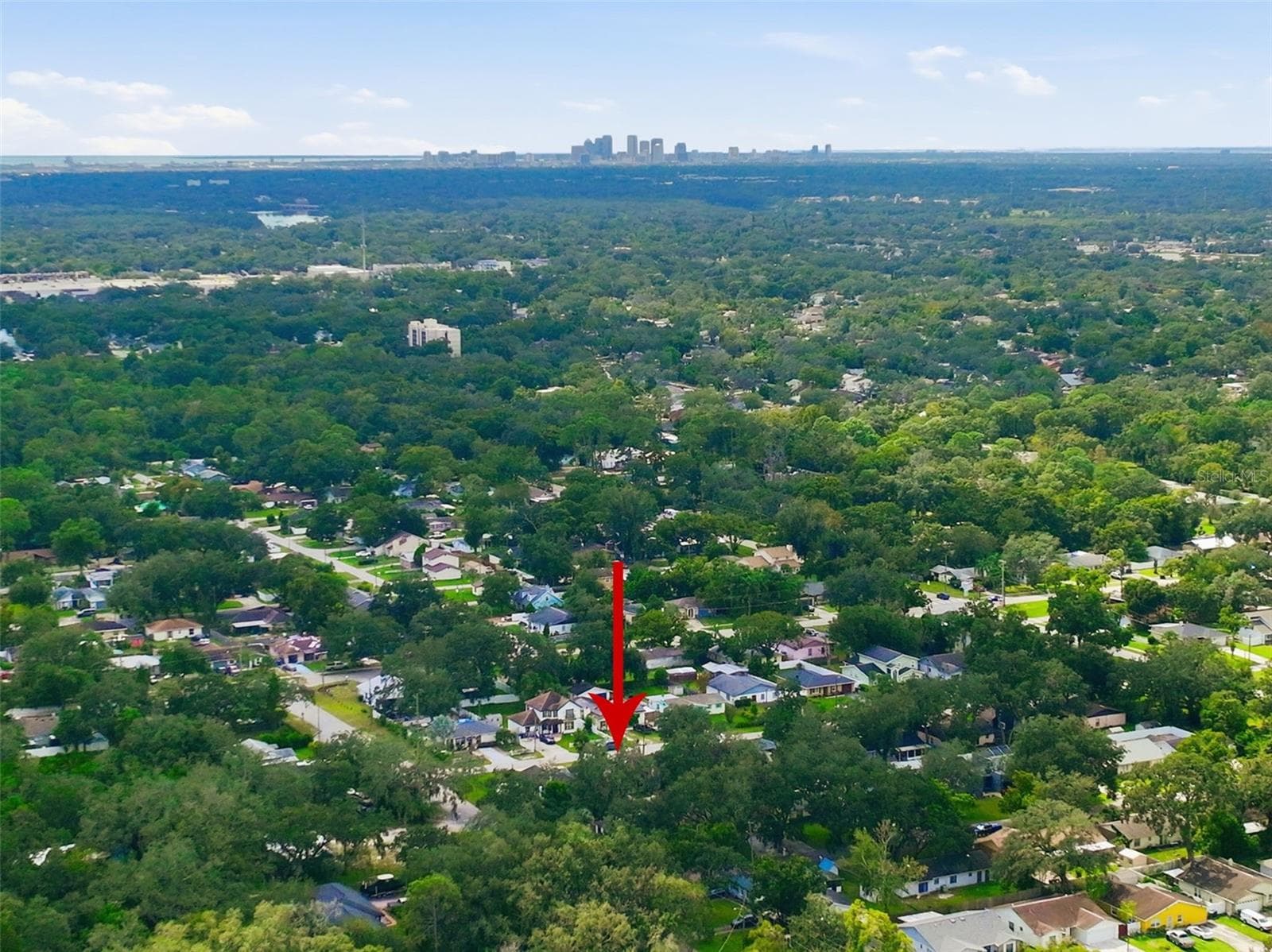 Single Family Residence at 5018 E LIBERTY ST, TAMPA, photo 41 of 51