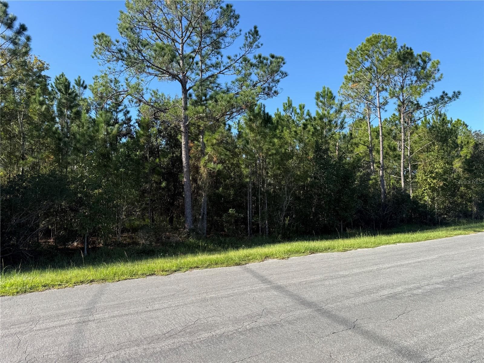 Land at REYNOLDS PKWY, ORLANDO, photo 2 of 3