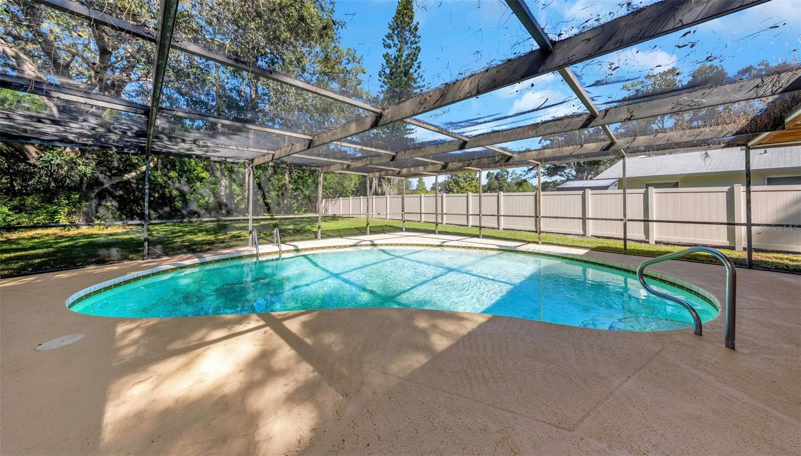 Pool - 1926 BRAE MOOR DR, DUNEDIN