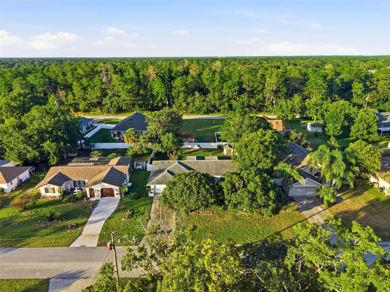 Single Family Residence at 10431 NORVELL RD, SPRING HILL, photo 40 of 48