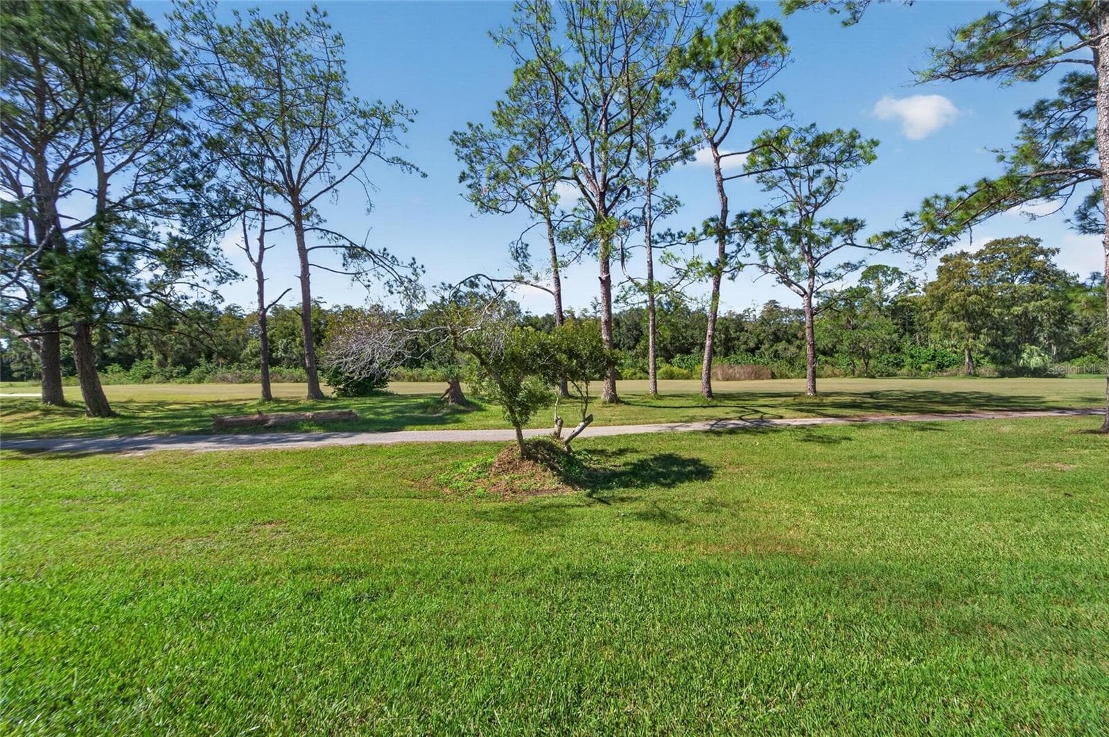 Villa at 16216 RAMBLING VINE DR W, TAMPA, photo 35 of 54