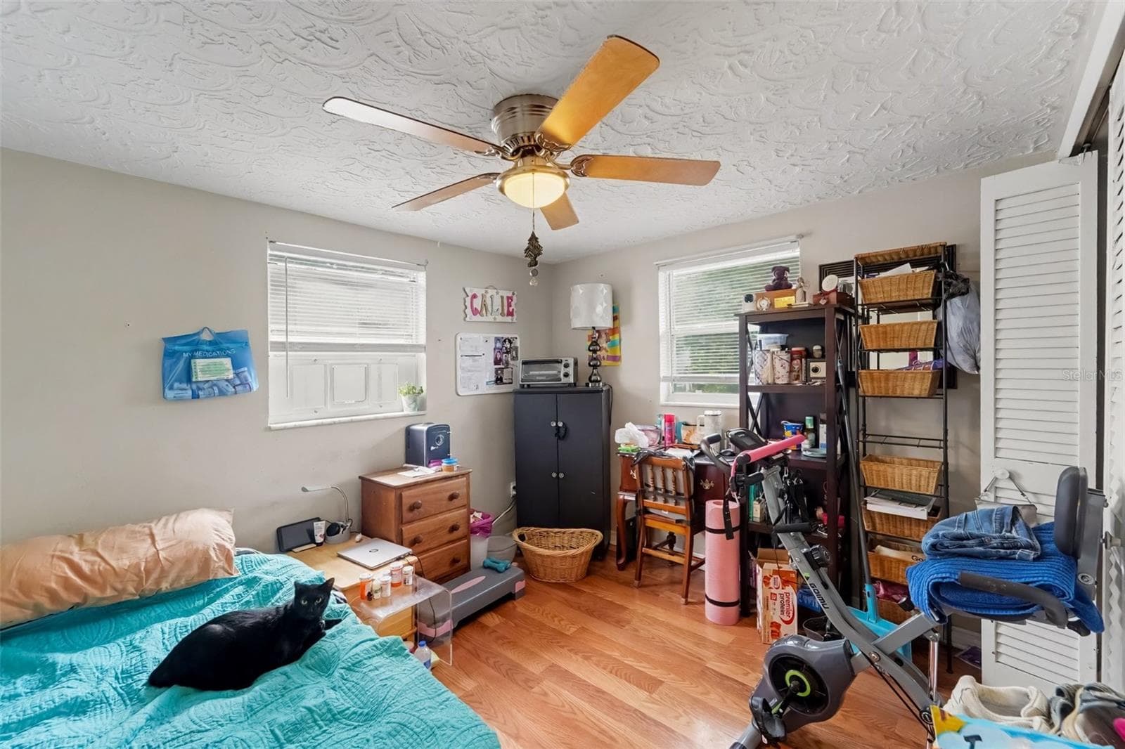 Single Family Residence at 2049 MAUREEN DR, HOLIDAY, photo 17 of 26