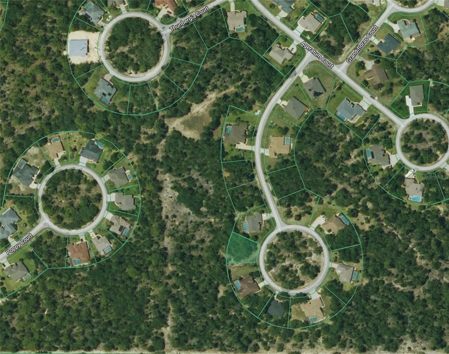 Land at 14 FLORIBUNDA CT, HOMOSASSA, photo 6 of 6