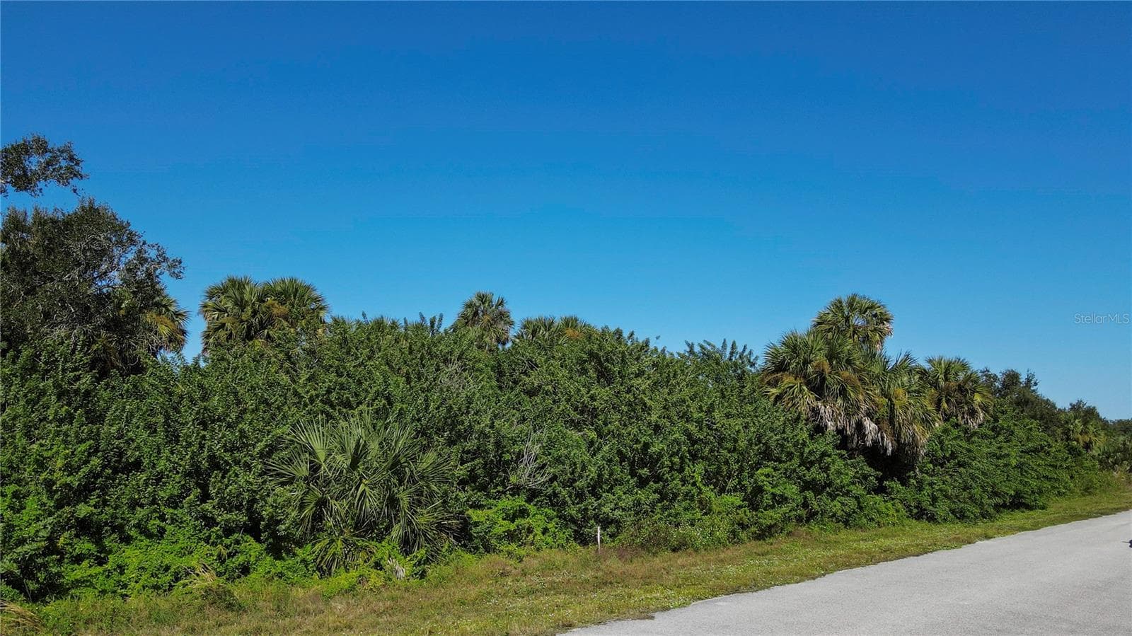 Land at 143 STERLING ST, PORT CHARLOTTE, photo 4 of 7
