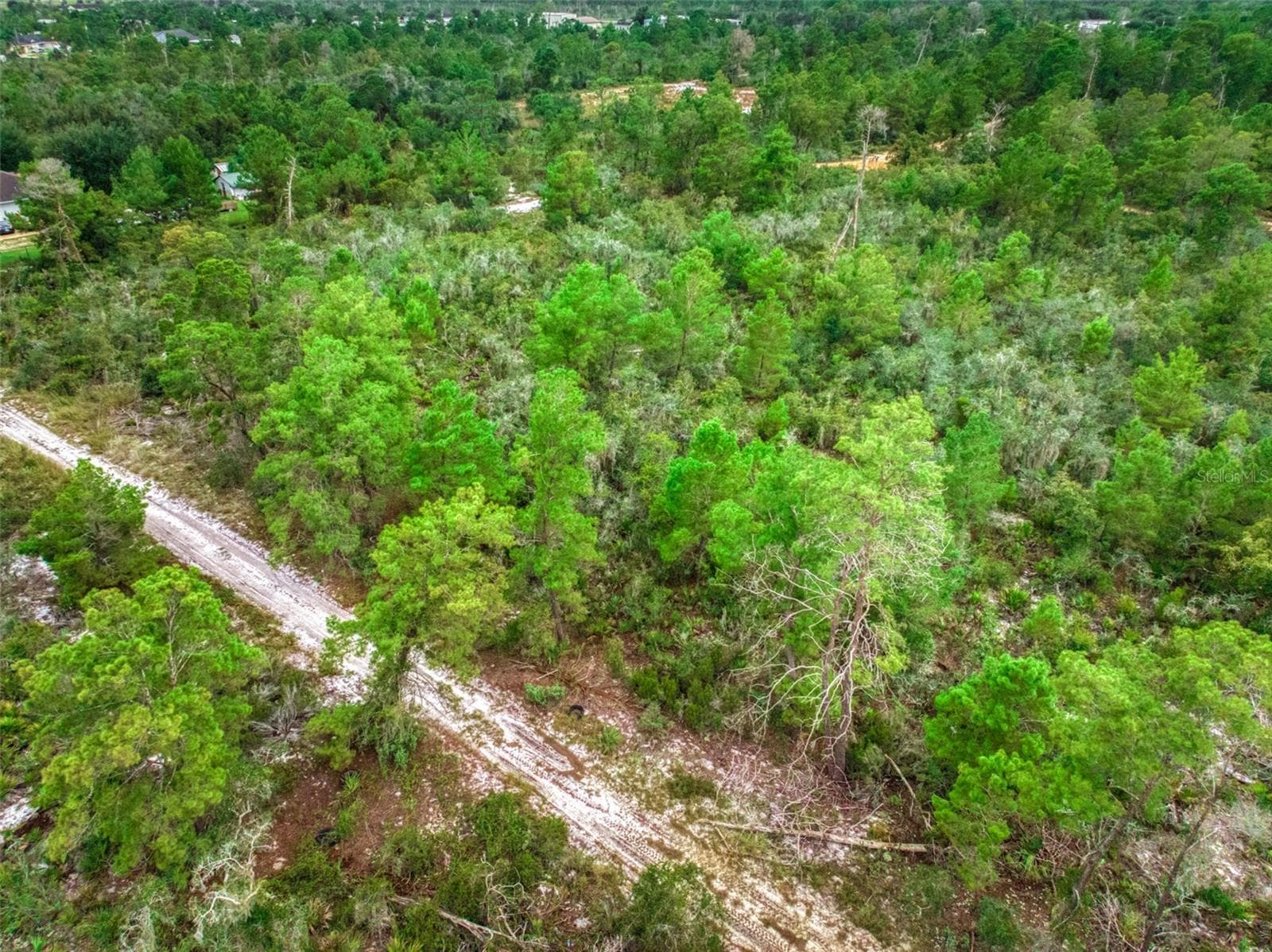 Land at 1222 SANDLEWOOD ST, LAKE PLACID, photo 11 of 17