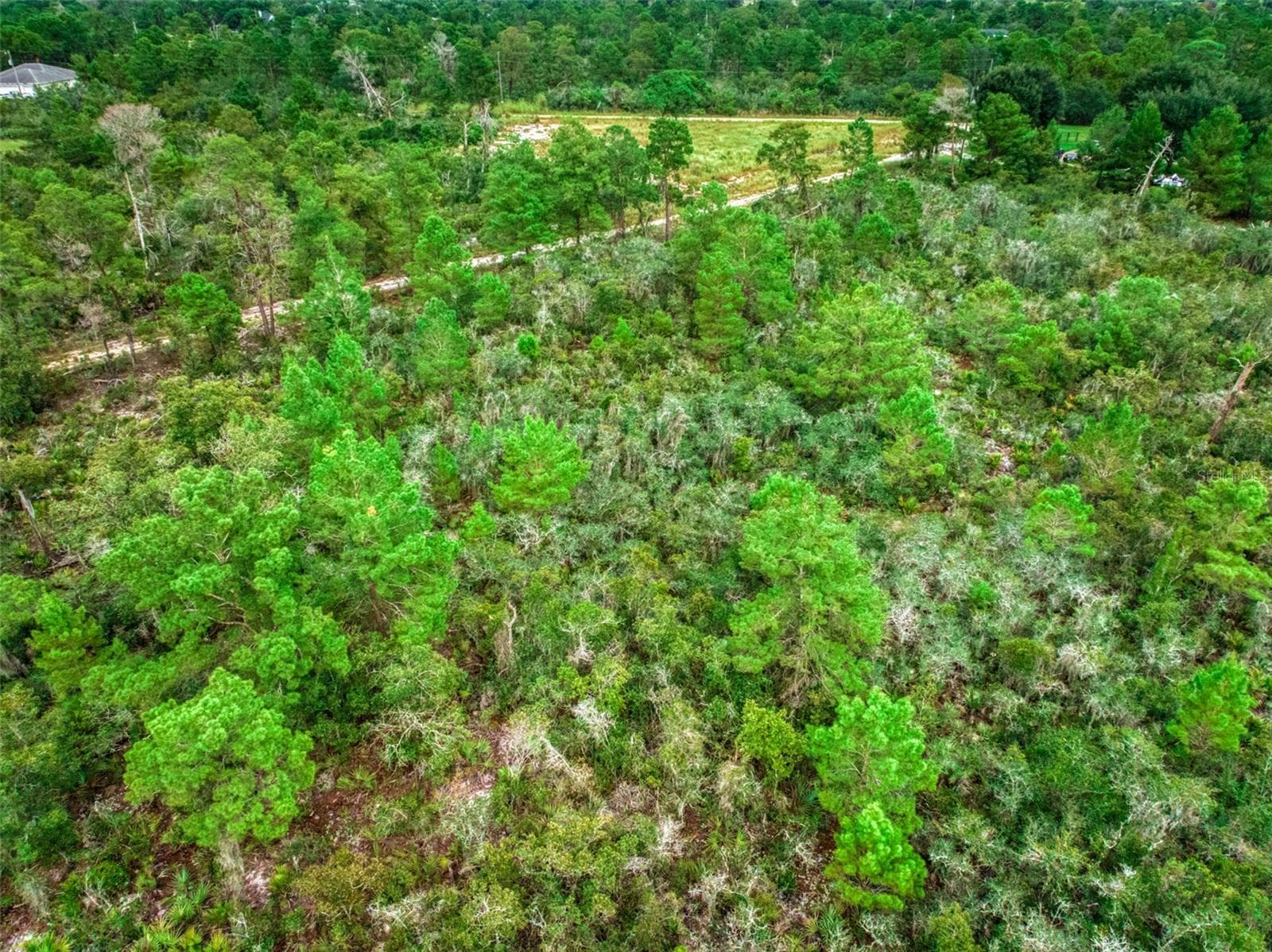 Land at 1222 SANDLEWOOD ST, LAKE PLACID, photo 12 of 17