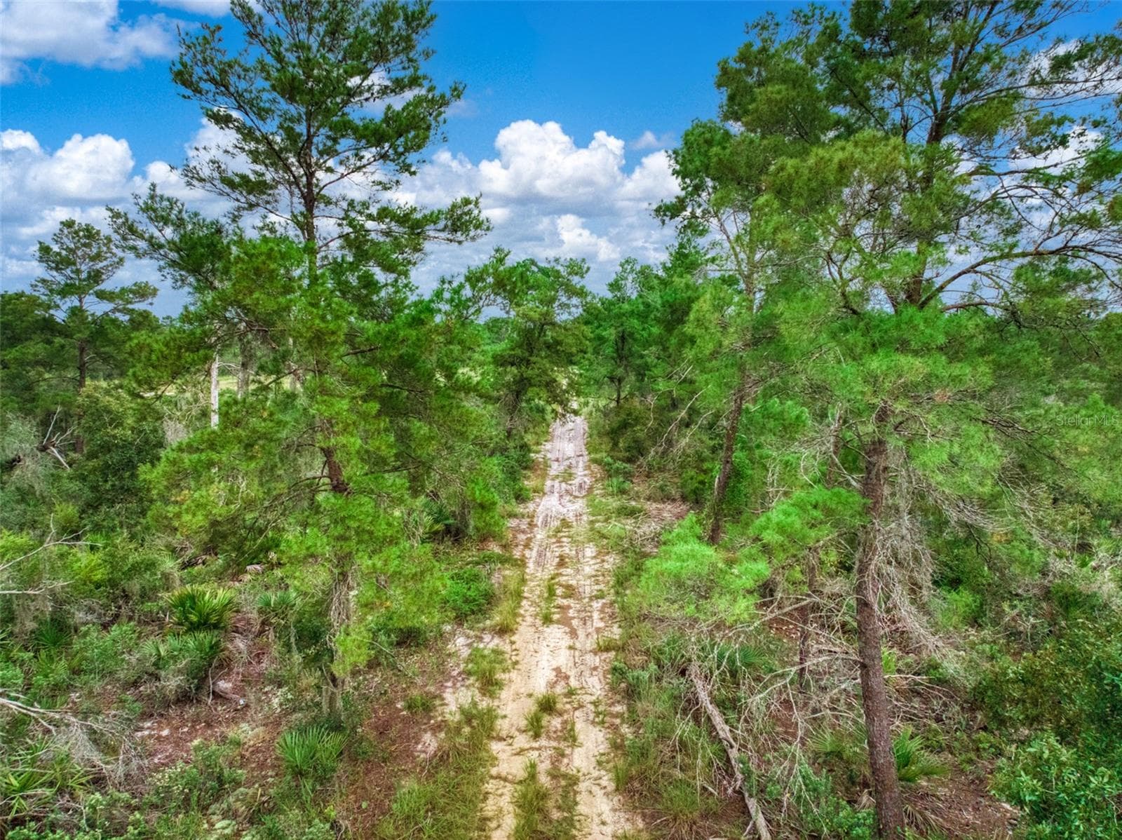 Land at 1222 SANDLEWOOD ST, LAKE PLACID, photo 14 of 17