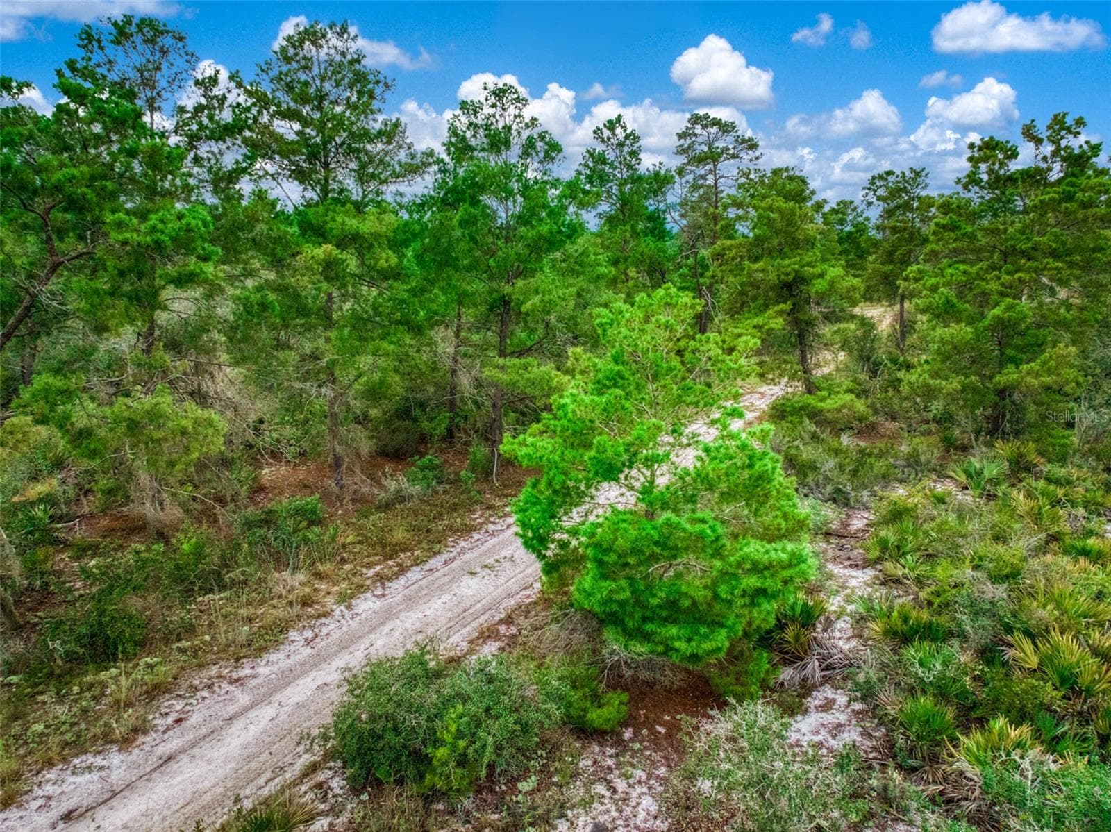 Land at 1222 SANDLEWOOD ST, LAKE PLACID, photo 16 of 17