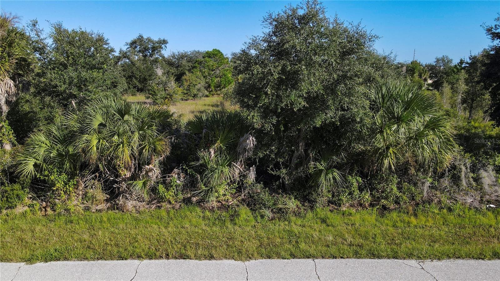 Land at 7022 LANDRUM CIR, PORT CHARLOTTE, photo 4 of 7