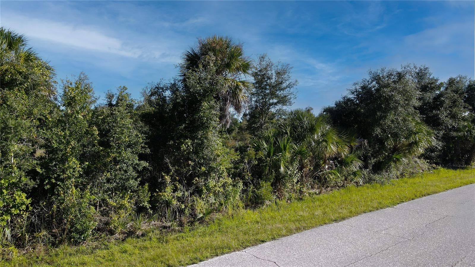 Land at 7022 LANDRUM CIR, PORT CHARLOTTE, photo 5 of 7