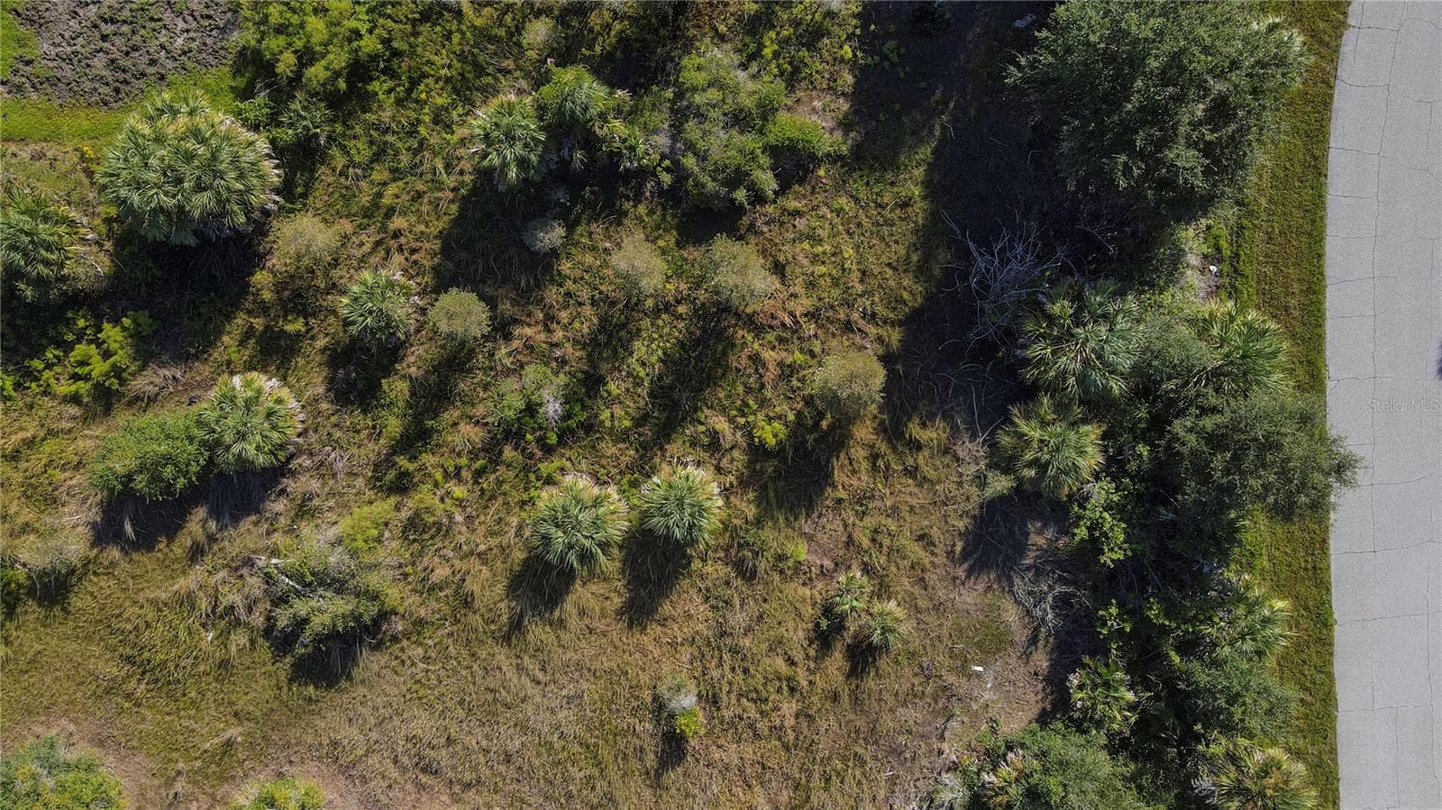 Land at 7022 LANDRUM CIR, PORT CHARLOTTE, photo 6 of 7
