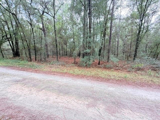 Land at 000 SW 10TH PL, OCALA, photo 2 of 5