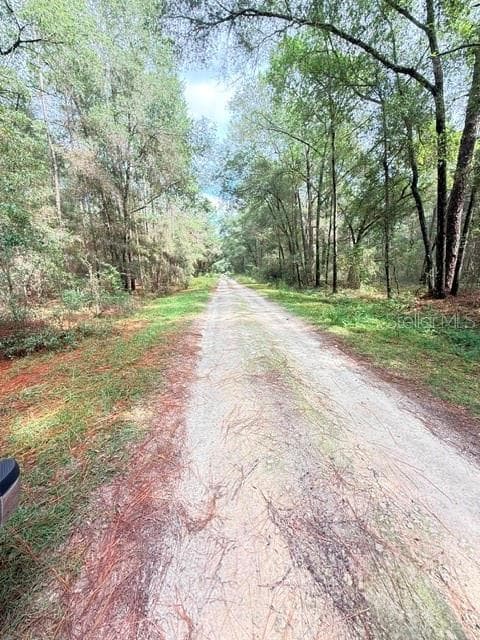 Land at 000 SW 10TH PL, OCALA, photo 3 of 5