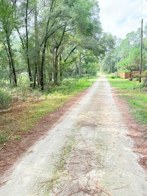Land at 000 SW 10TH PL, OCALA, photo 4 of 5